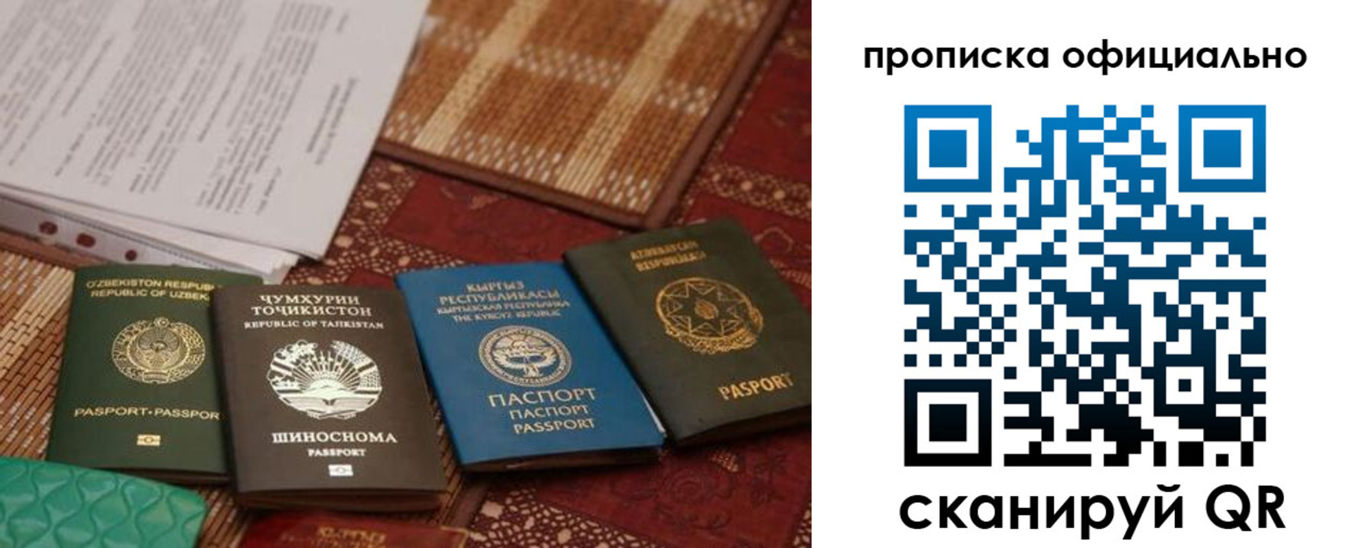где прописаться в Чкаловске
